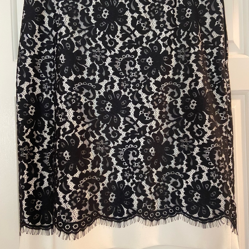 The Limited Skirts | The Limited Scandal Collection